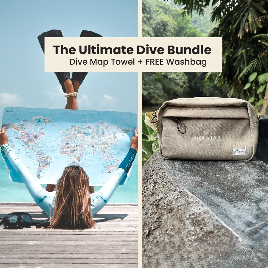 Dive Map Towel & Washbag